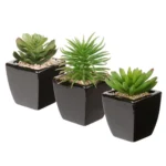 3Pcs Small Succulents Artificial Plants with Black Ceramic Pot Mini Fake Potted Plants Decor for Modern Home