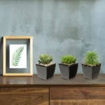 3Pcs Small Succulents Artificial Plants with Black Ceramic Pot Mini Fake Potted Plants Decor for Modern Home - Image 2
